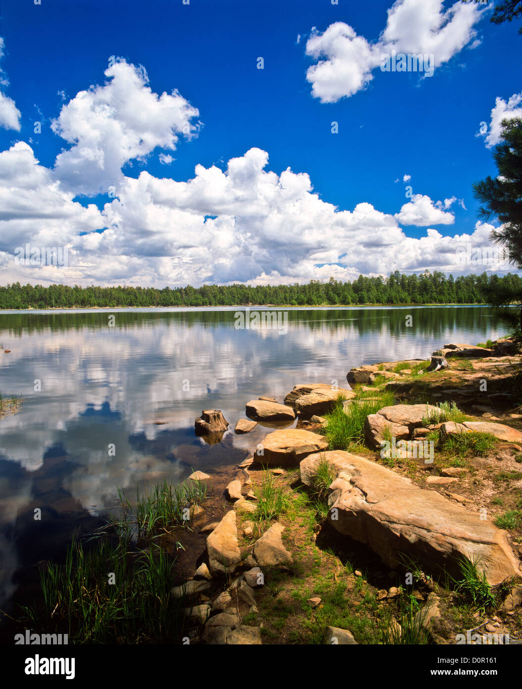 Willow Springs Lake on the Mogollon Rim. ApacheSitgreaves National