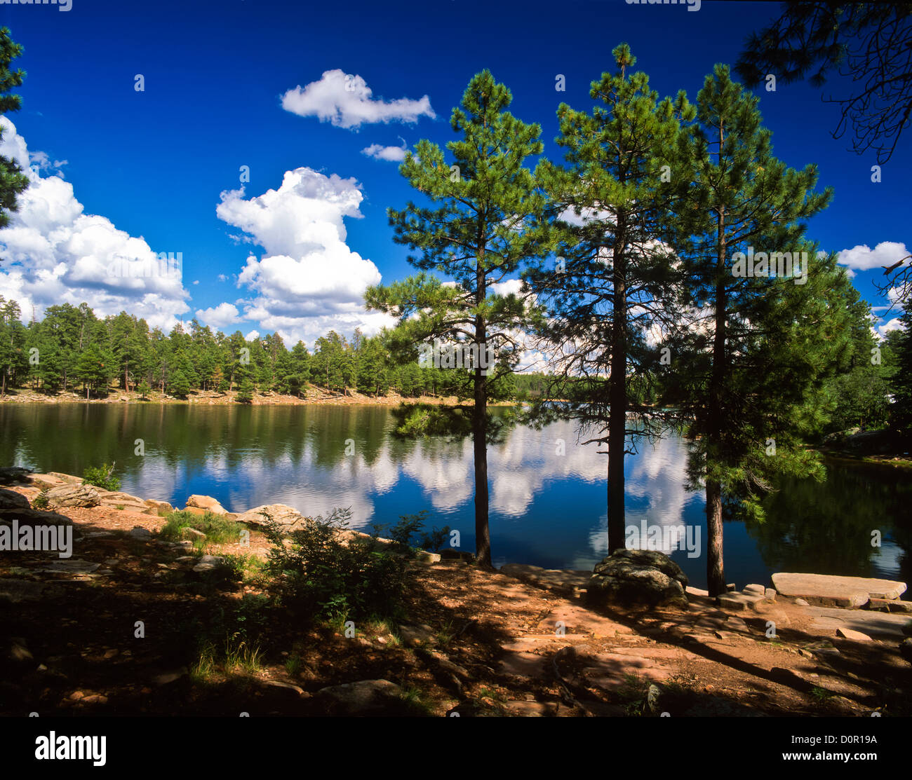 Woods Canyon Lake on the Mogollon Rim. ApacheSitgreaves National