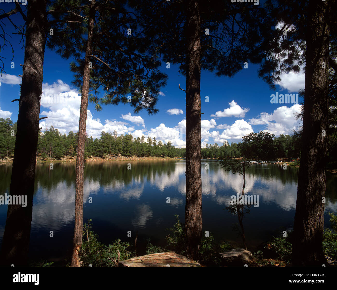 Woods Canyon Lake on the Mogollon Rim. ApacheSitgreaves National Forest, Arizona. USA Stock