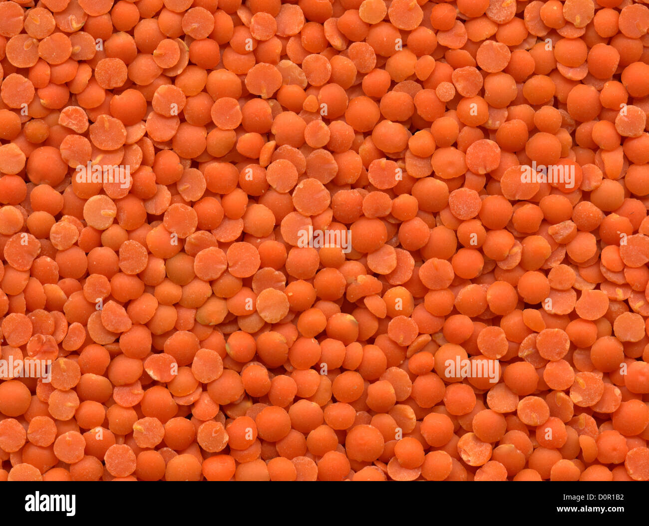 Close-up of dry red lentils, for texture or background Stock Photo