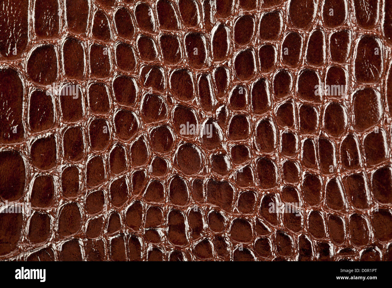 Crocodile leather case hi-res stock photography and images - Alamy