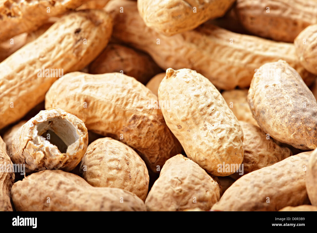 Peanuts in shells Stock Photo Alamy
