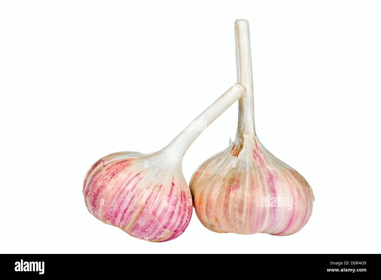 two cloves of garlic Stock Photo Alamy