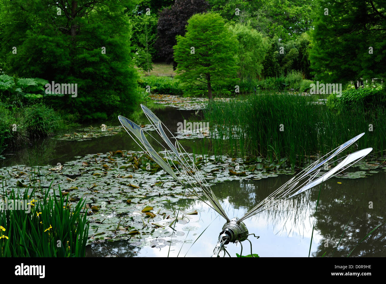 Dragonfly sculpture hires stock photography and images Alamy