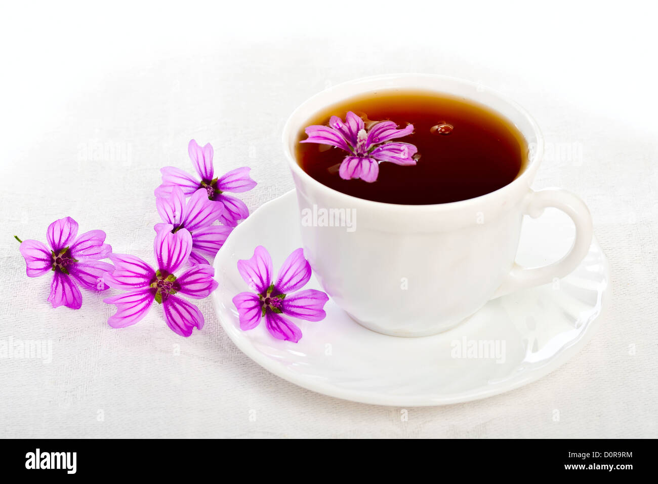 Teacup on white background Stock Photo Alamy