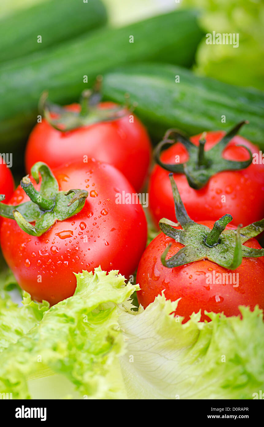 Tomatoes and cucumbers ready for salad Stock Photo - Alamy