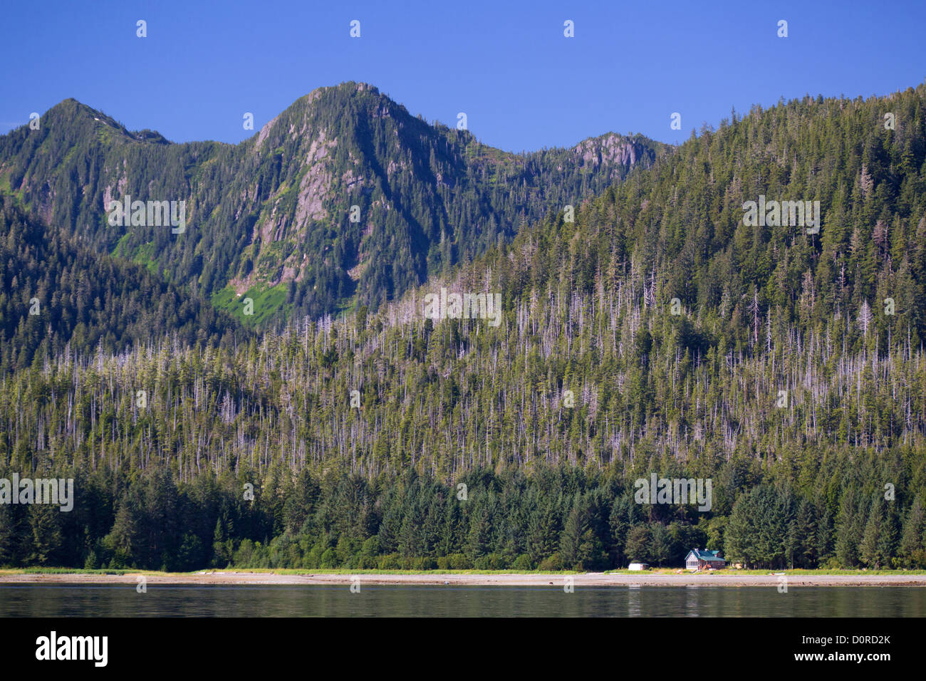 Tongass National Forest, Alaska. Stock Photo