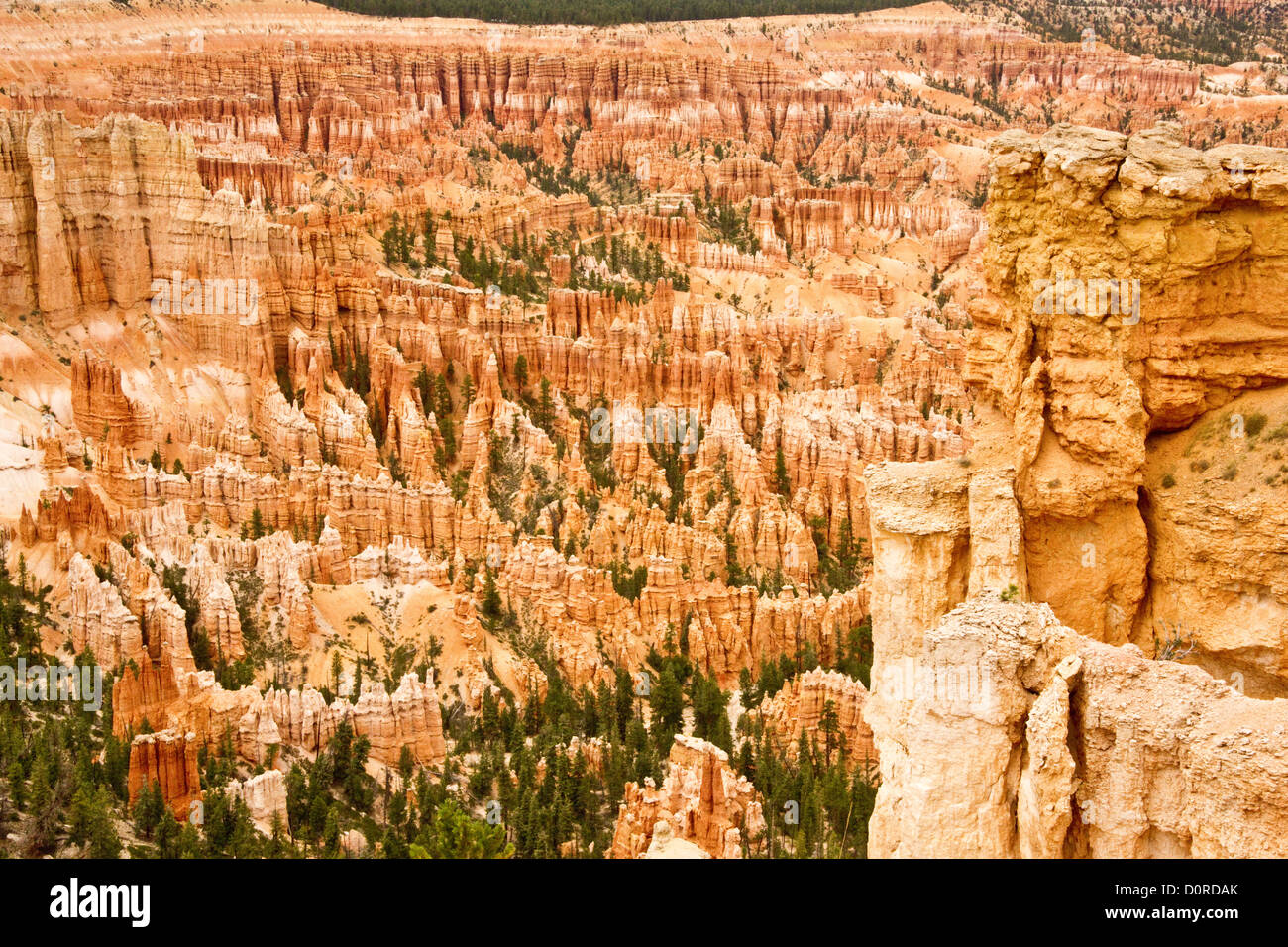 Bryce Canyon Grandeur Stock Photo