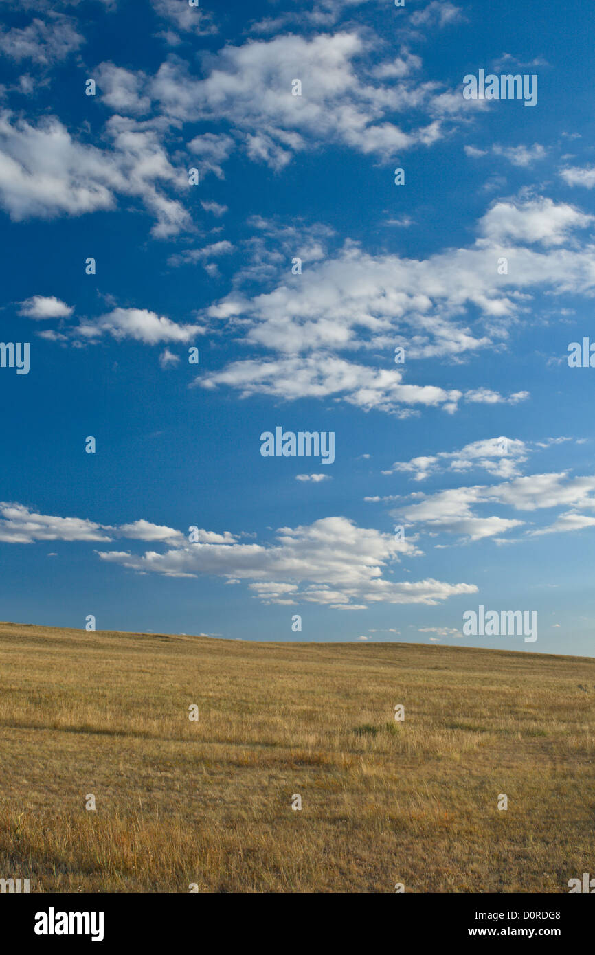 Yellow steppe and perfect sky Stock Photo Alamy