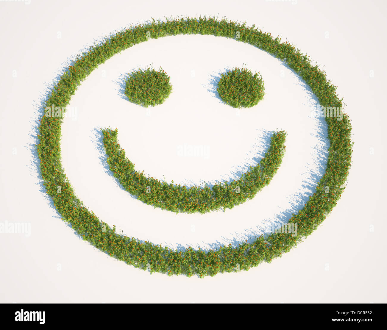 Smiley face shaped grass patch Stock Photo