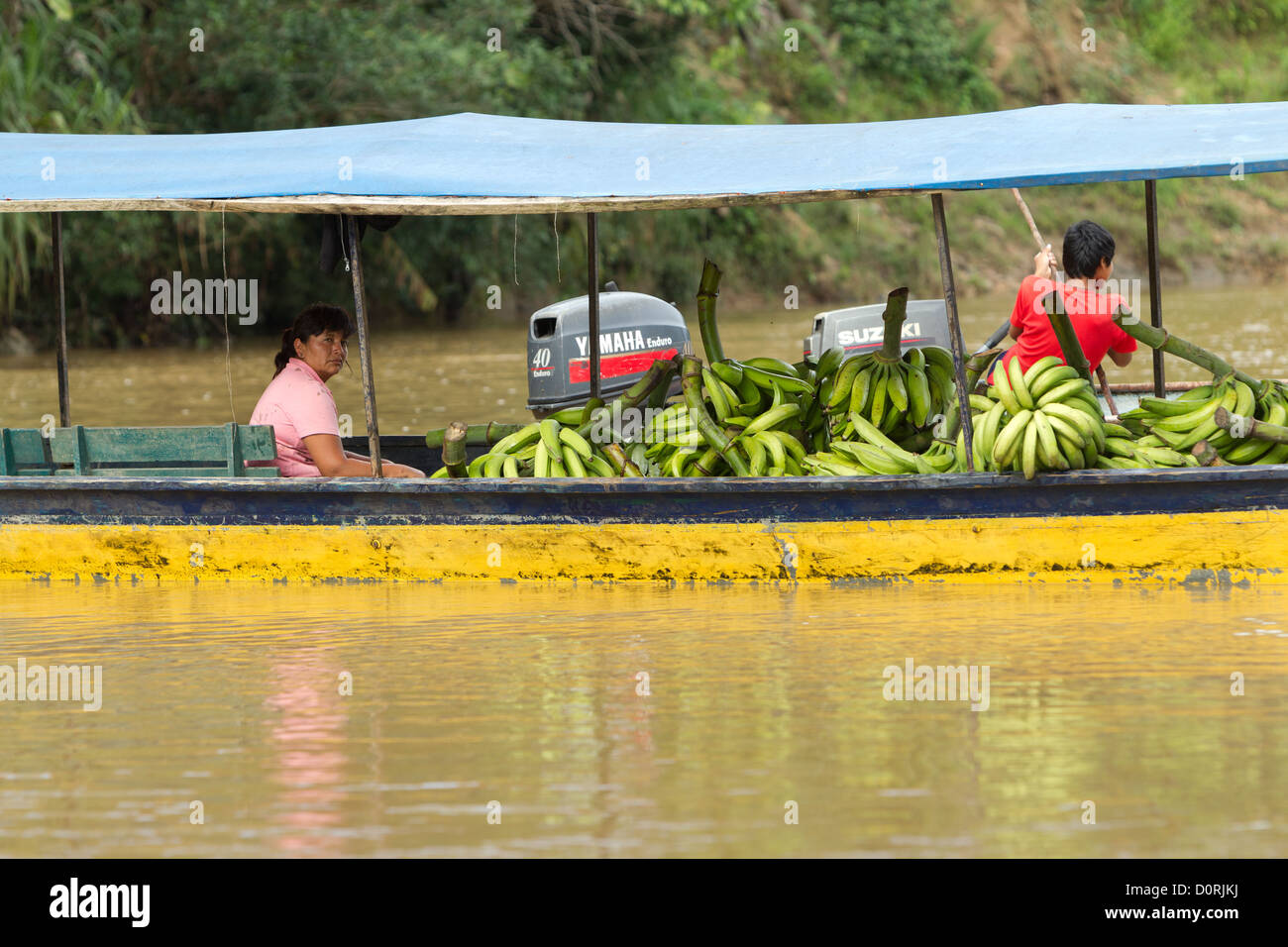 Adult Woman Brings To The Local Market A Pile Of Green Bananas By Boat Stock Photo