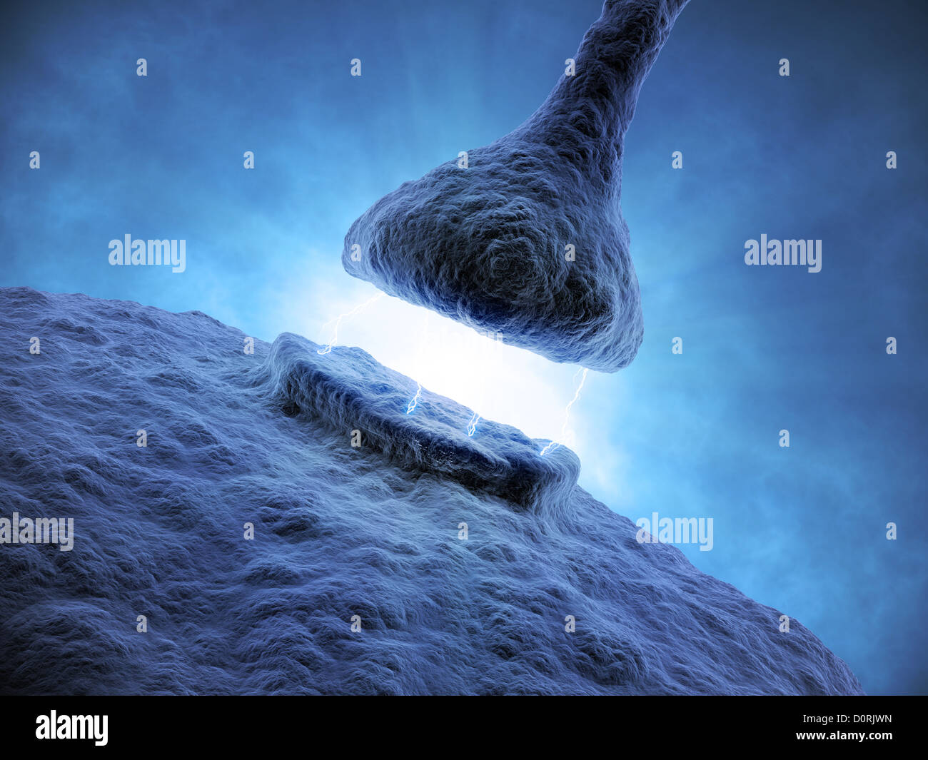 Synapse -  human neural system Stock Photo