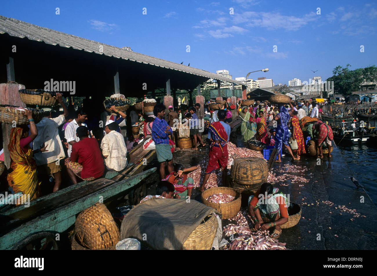 Sasoon fish market, Bombay/Mumbai, India Stock Photo Alamy