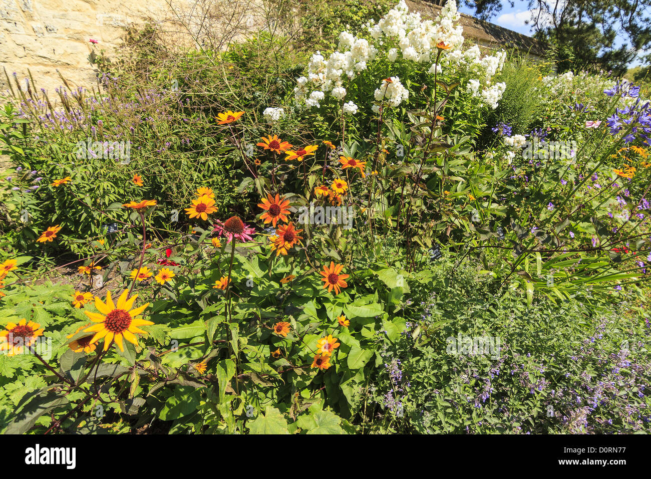 Herbaceous border uk hi-res stock photography and images - Alamy