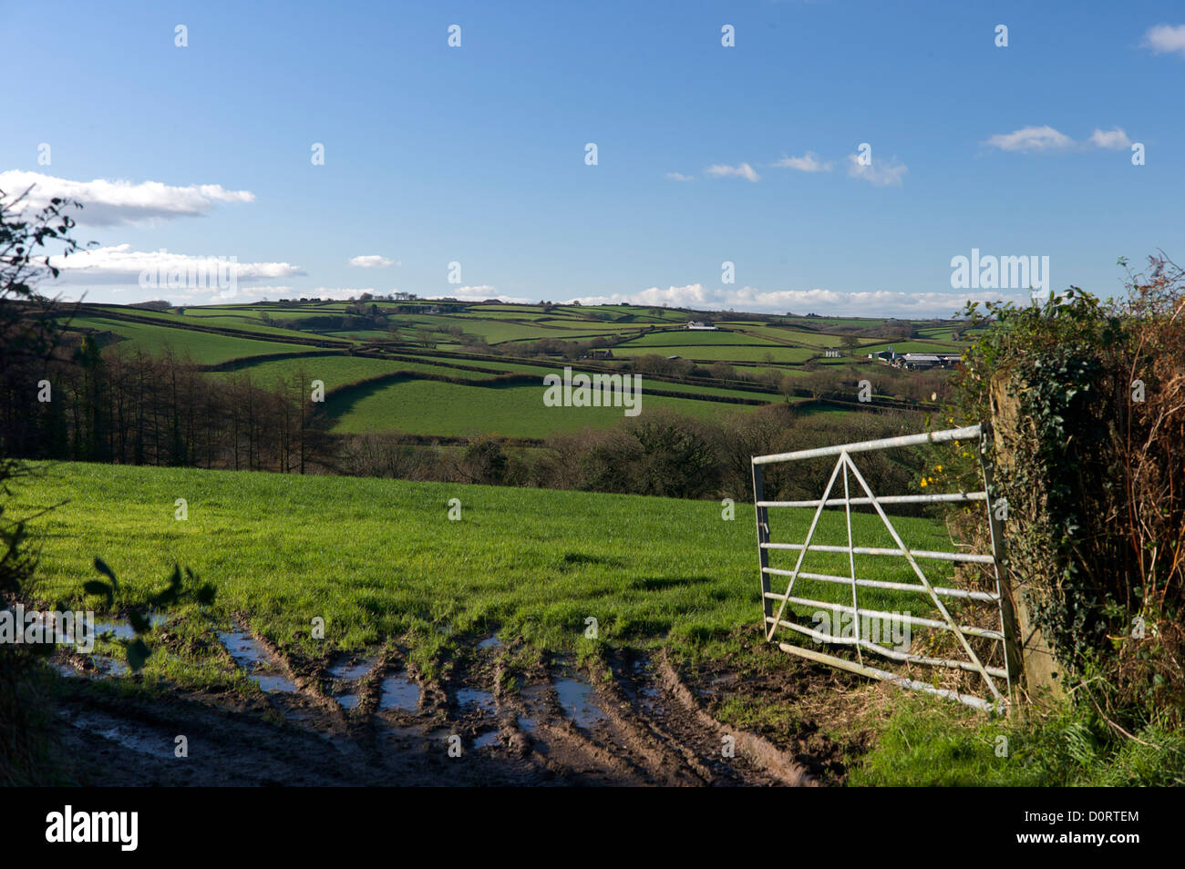 Open farm gate, Devon, UK Stock Photo