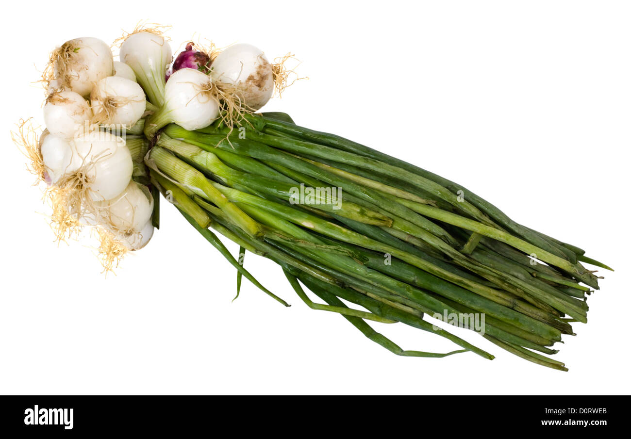Tied onions Cut Out Stock Images & Pictures - Alamy