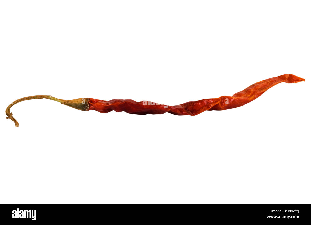 Chili pepper photography Cut Out Stock Images & Pictures - Alamy