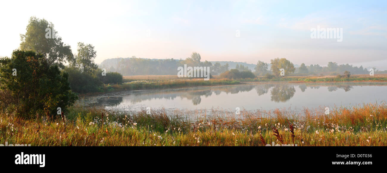 Gallery image with a fresh perspective