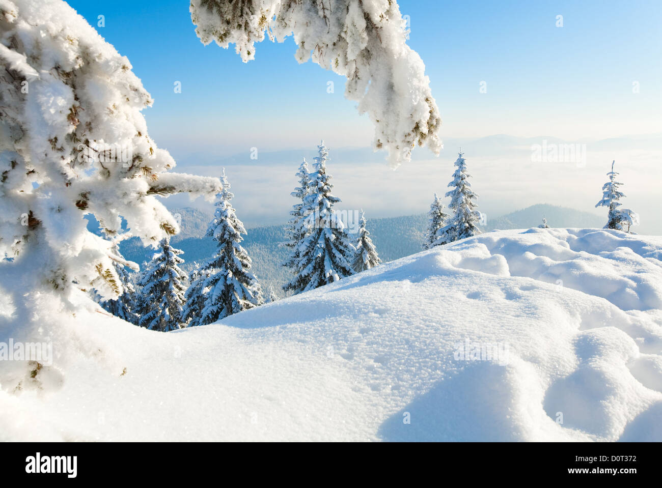 Winter snowy landscape Stock Photo - Alamy