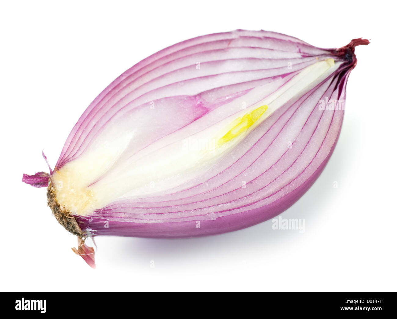 split violet onion bulb Stock Photo Alamy