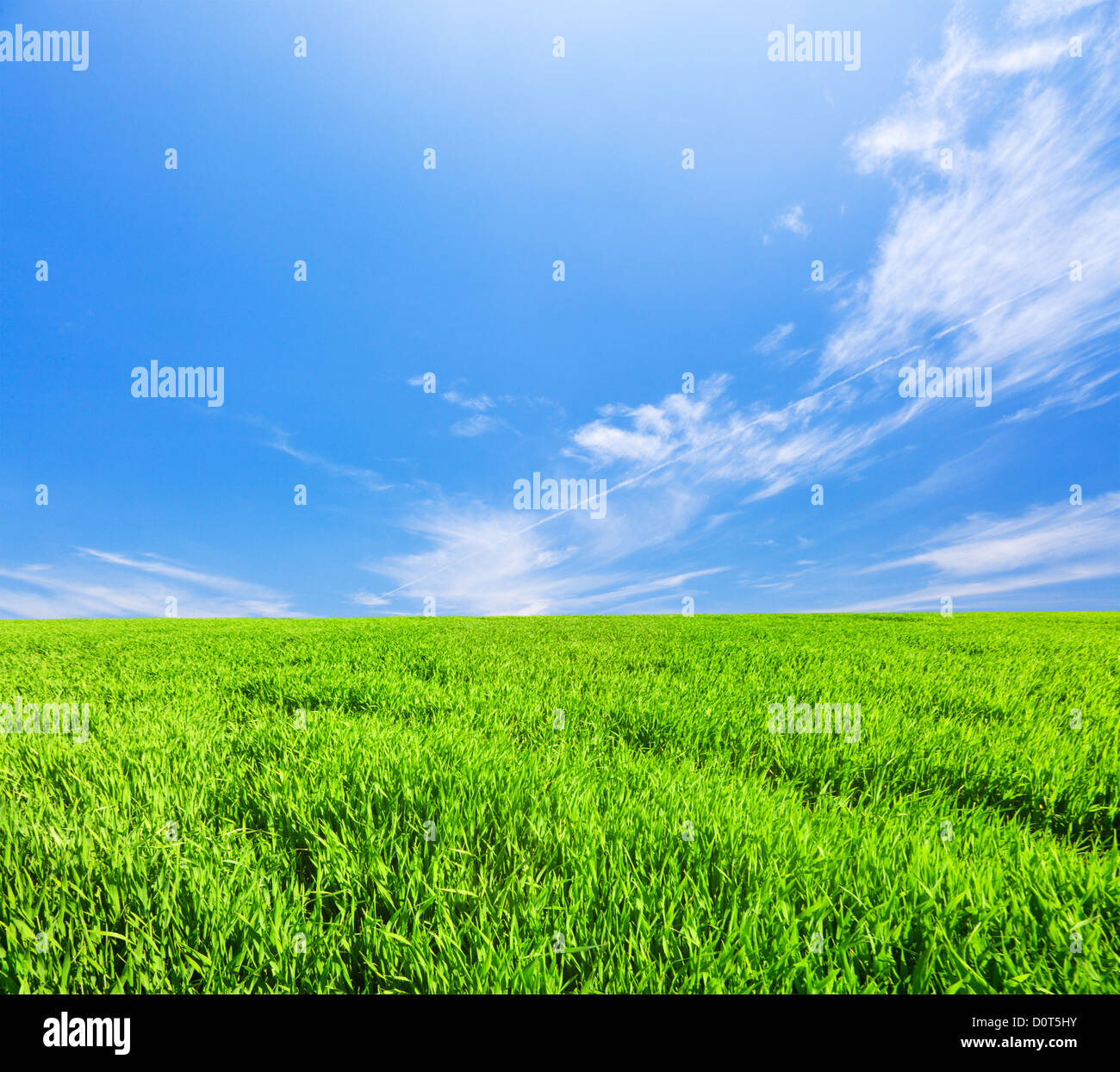 Green field under blue cloudy sky Stock Photo - Alamy