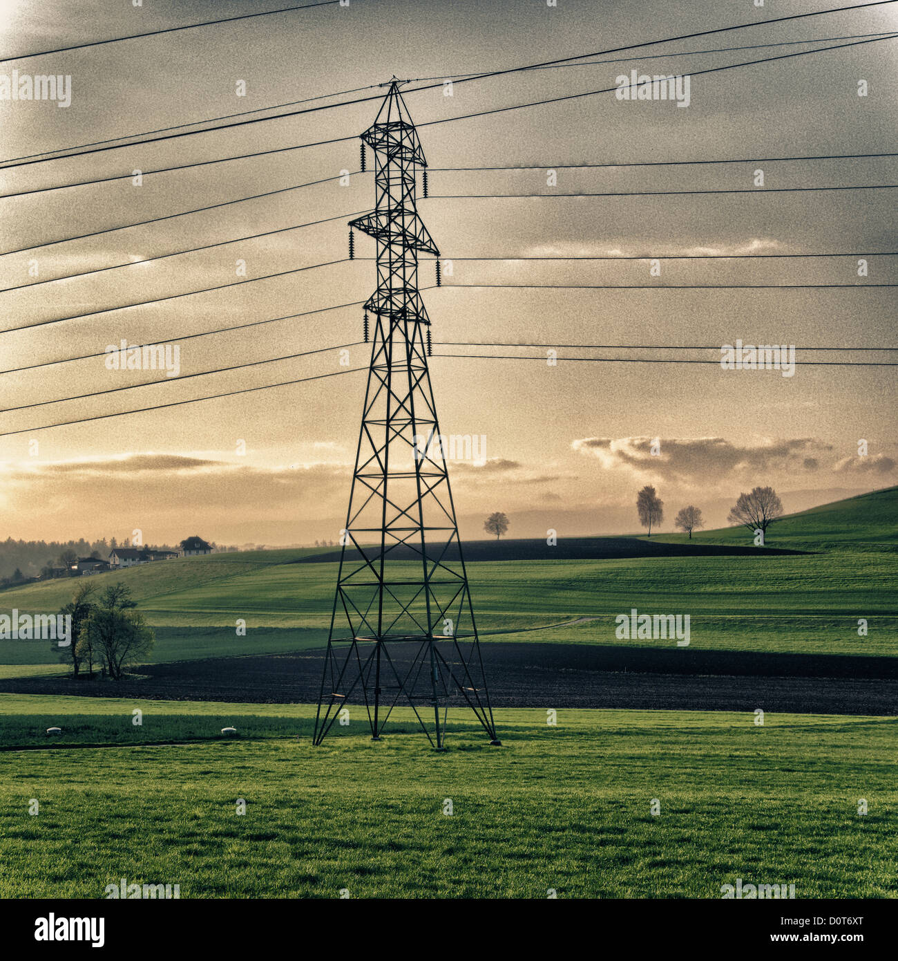 Field, electricity, fields, power line, canton Bern, manmade, cultural
