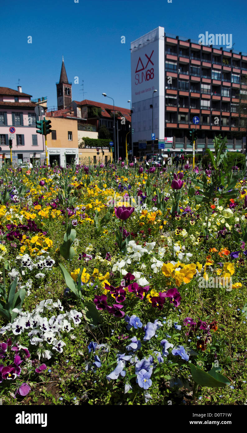 Flowers, Italy, Milan, metropolis, Piazza 24 maggio, place, town, city, pansy, viola, violet, viola Stock Photo