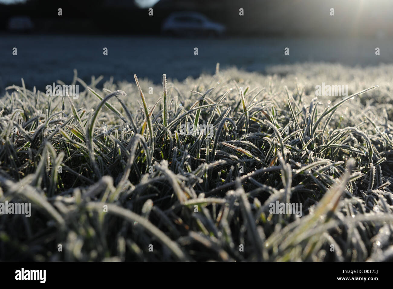 British winter weather sunshine hi-res stock photography and images - Alamy