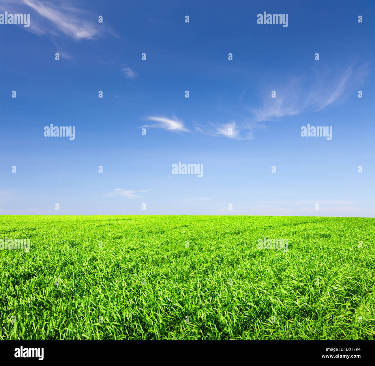 Green field under blue cloudy sky with sun Stock Photo - Alamy