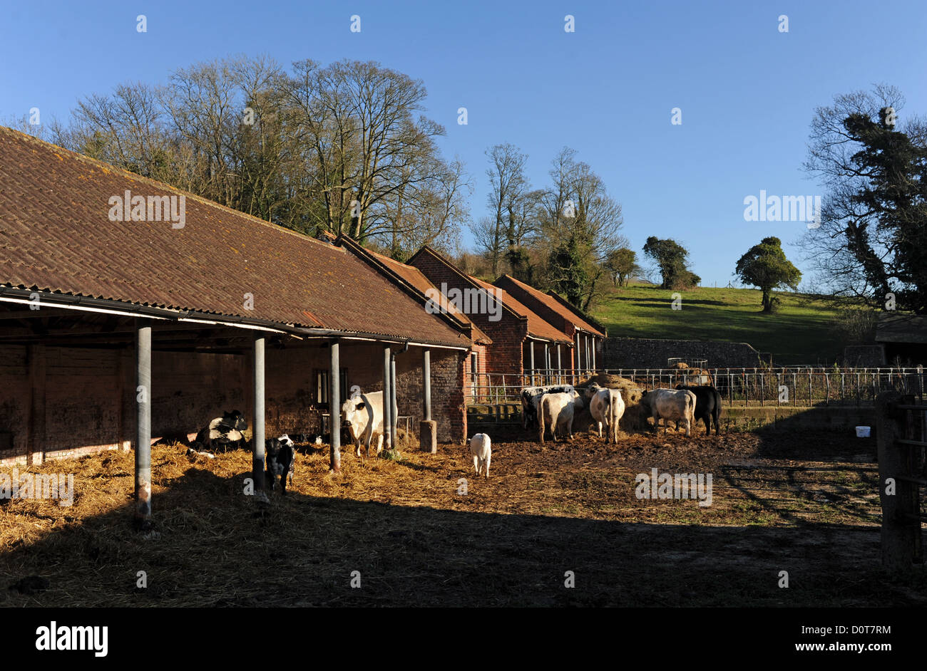 Farmyard in Stanmer village near Brighton UK Stock Photo