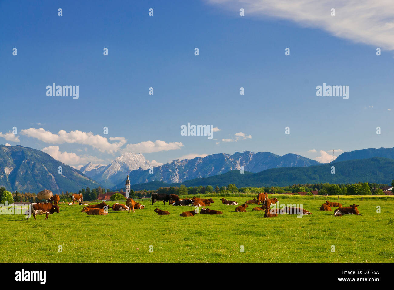 Bavaria, Upper Bavaria, Germany, Berchtesgaden country, Berchtesgaden, Saaldorf, sky, blue sky, Rupertiwinkl, church, steeple, v Stock Photo