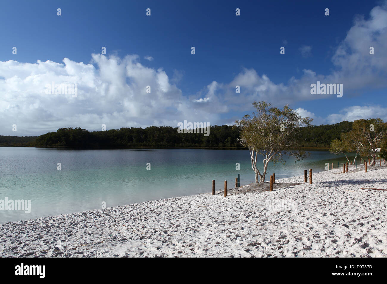 Lake McKenzie, lake, morning, water, beach, seashore, white, sand, turquoise, crystal clear, rest, tourism, ecotourism, sand isl Stock Photo