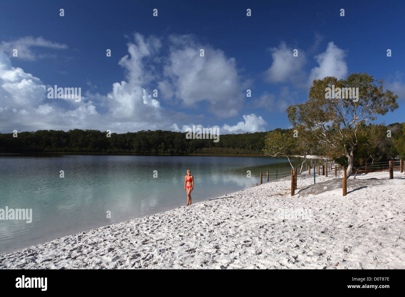 Lake McKenzie, lake, morning, water, beach, seashore, white, sand, turquoise, crystal clear, rest, tourism, ecotourism, sand isl Stock Photo