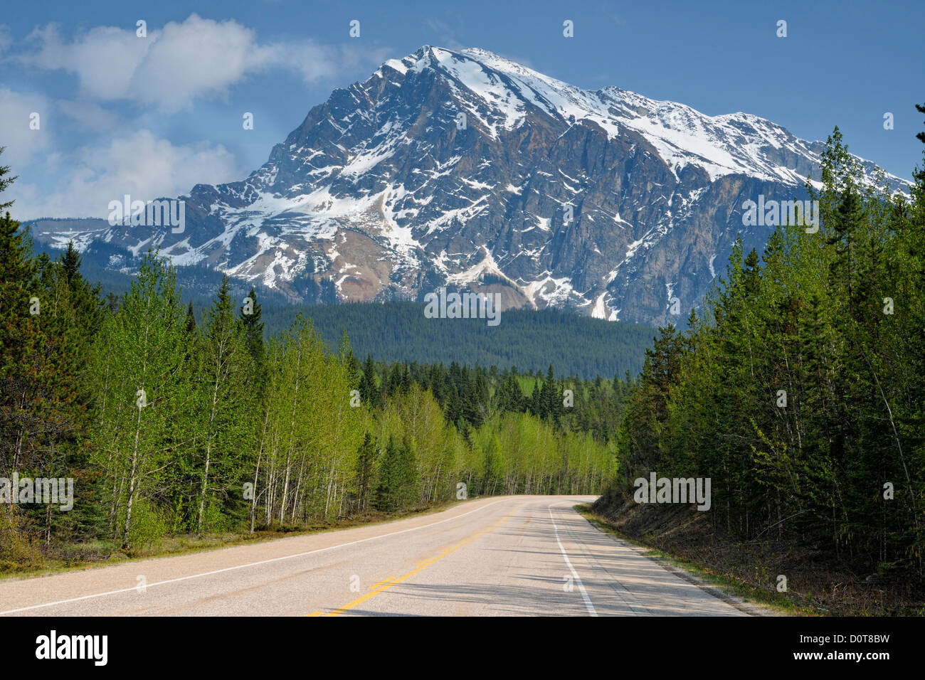 Icefields Parkway with Mt. Hardisty, Jasper National Park, Alberta
