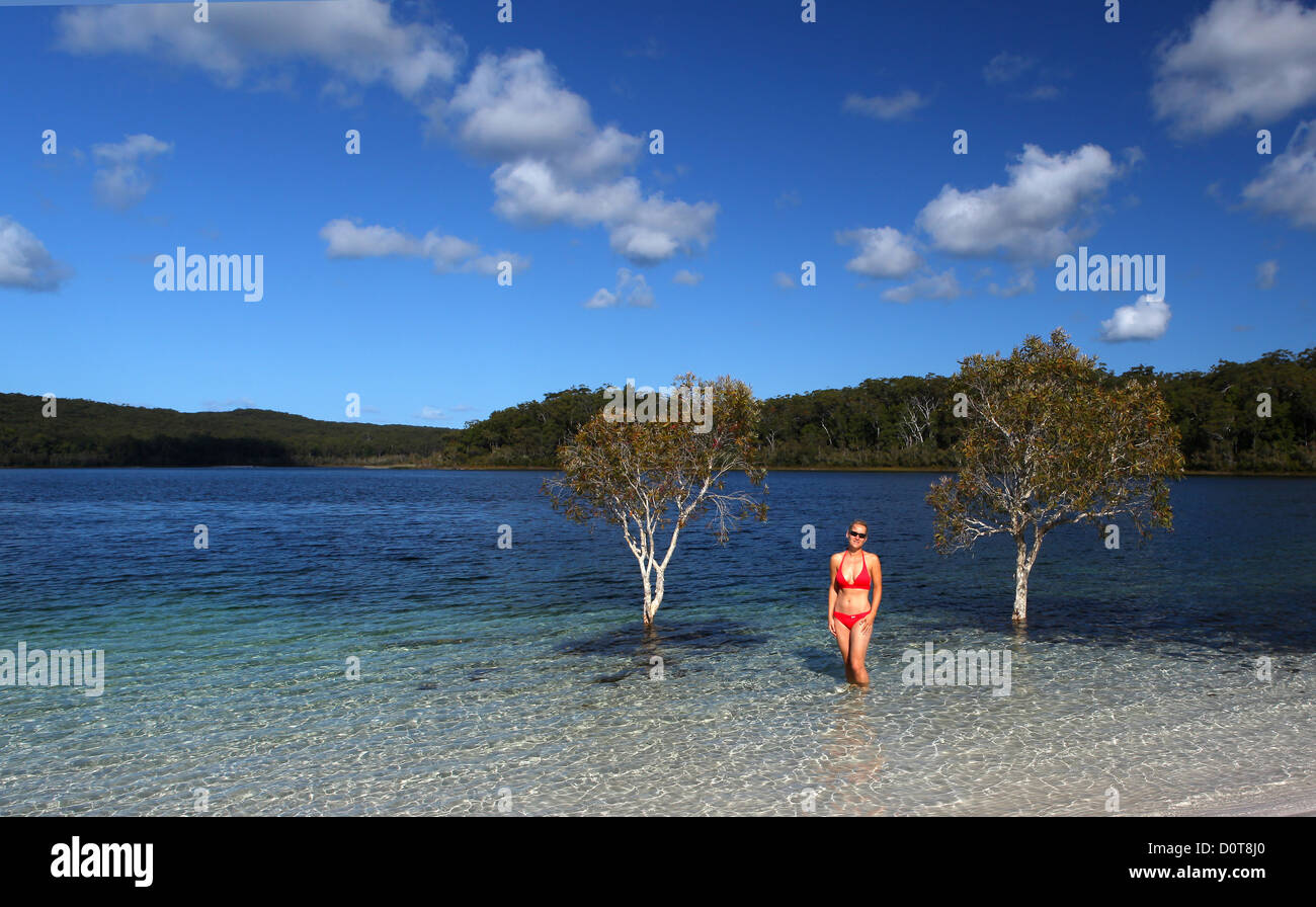 Lake McKenzie, lake, water, beach, seashore, white, sand, turquoise, crystal clear, rest, tourism, ecotourism, sand island, isla Stock Photo