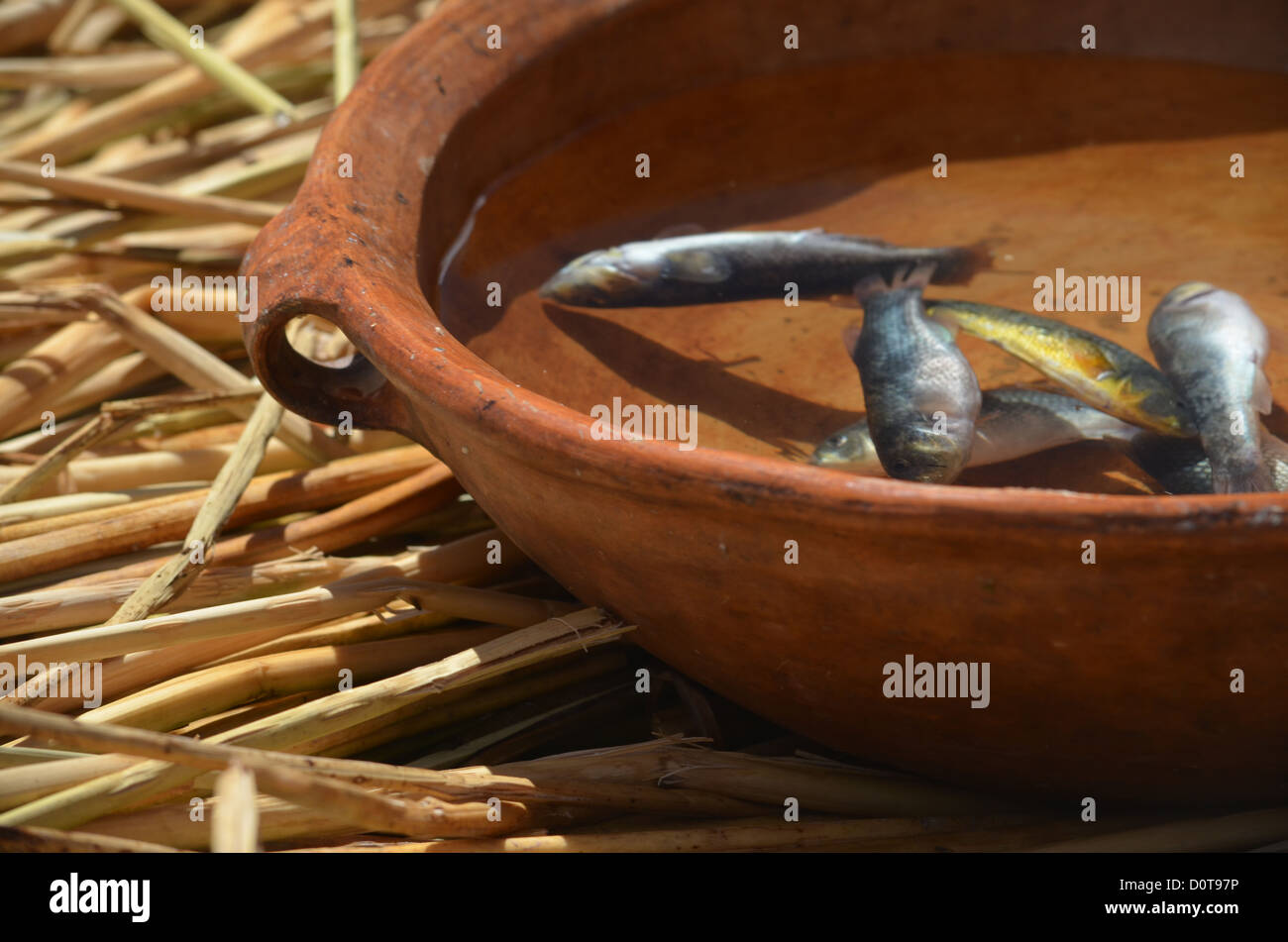 Ceramic bowl of Fish, kept on the Uros Islands, Lake Titicaca, Peru. Stock Photo