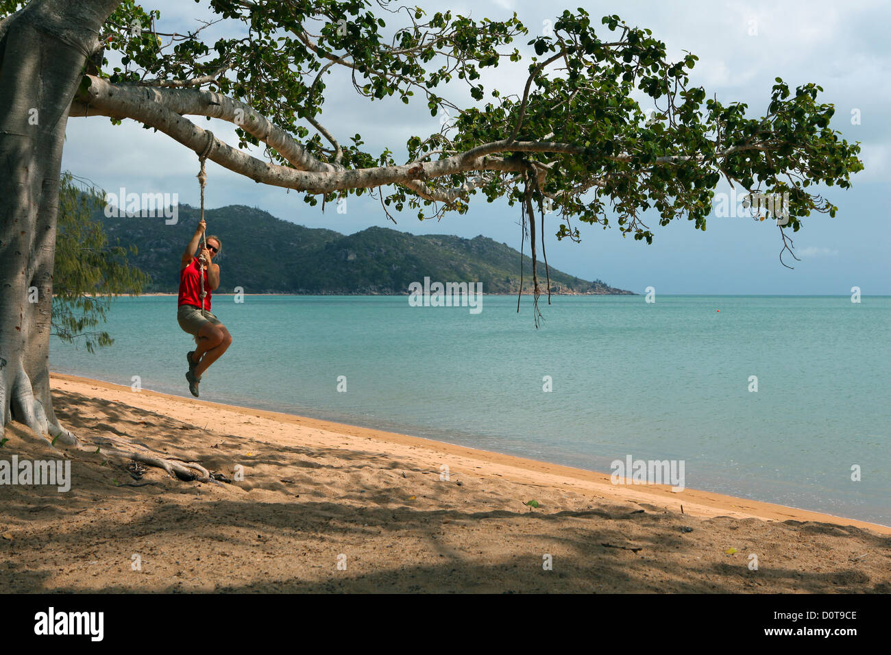 Horseshoe Bay, Magnetic Island, sea, sand, beach, seashore, swim, tree, cord, rope, climb, play branch, knot, island, sport, fun Stock Photo