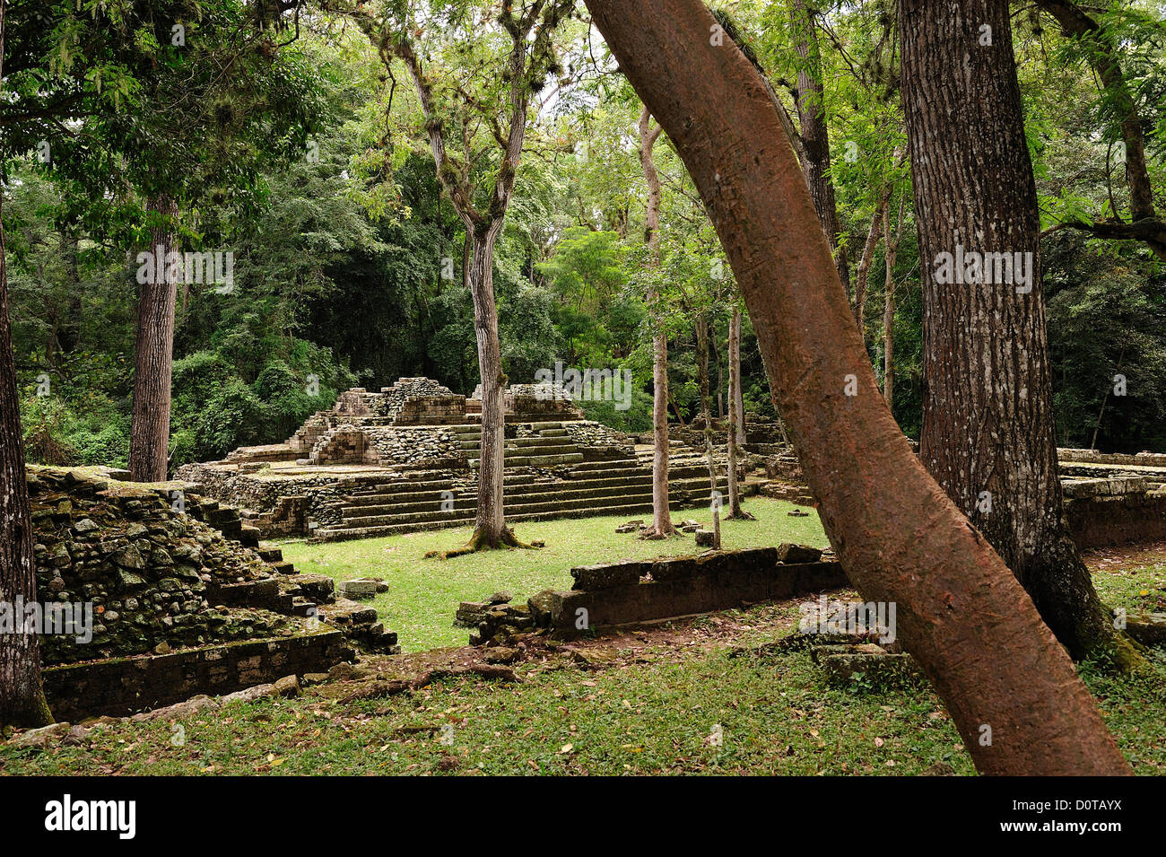 Honduras copan maya site hi-res stock photography and images - Alamy