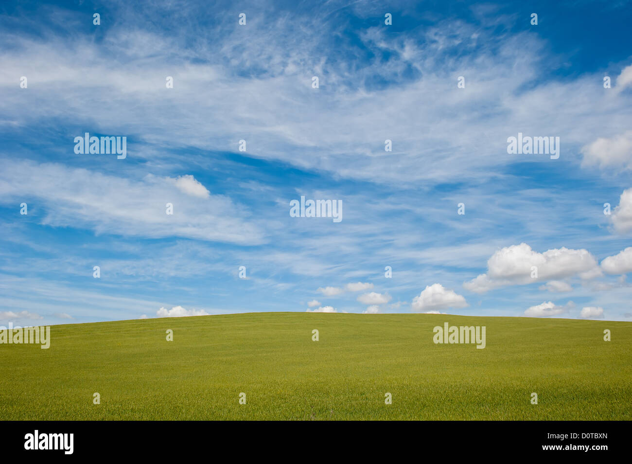 green field and blue cloudy sky background Stock Photo - Alamy