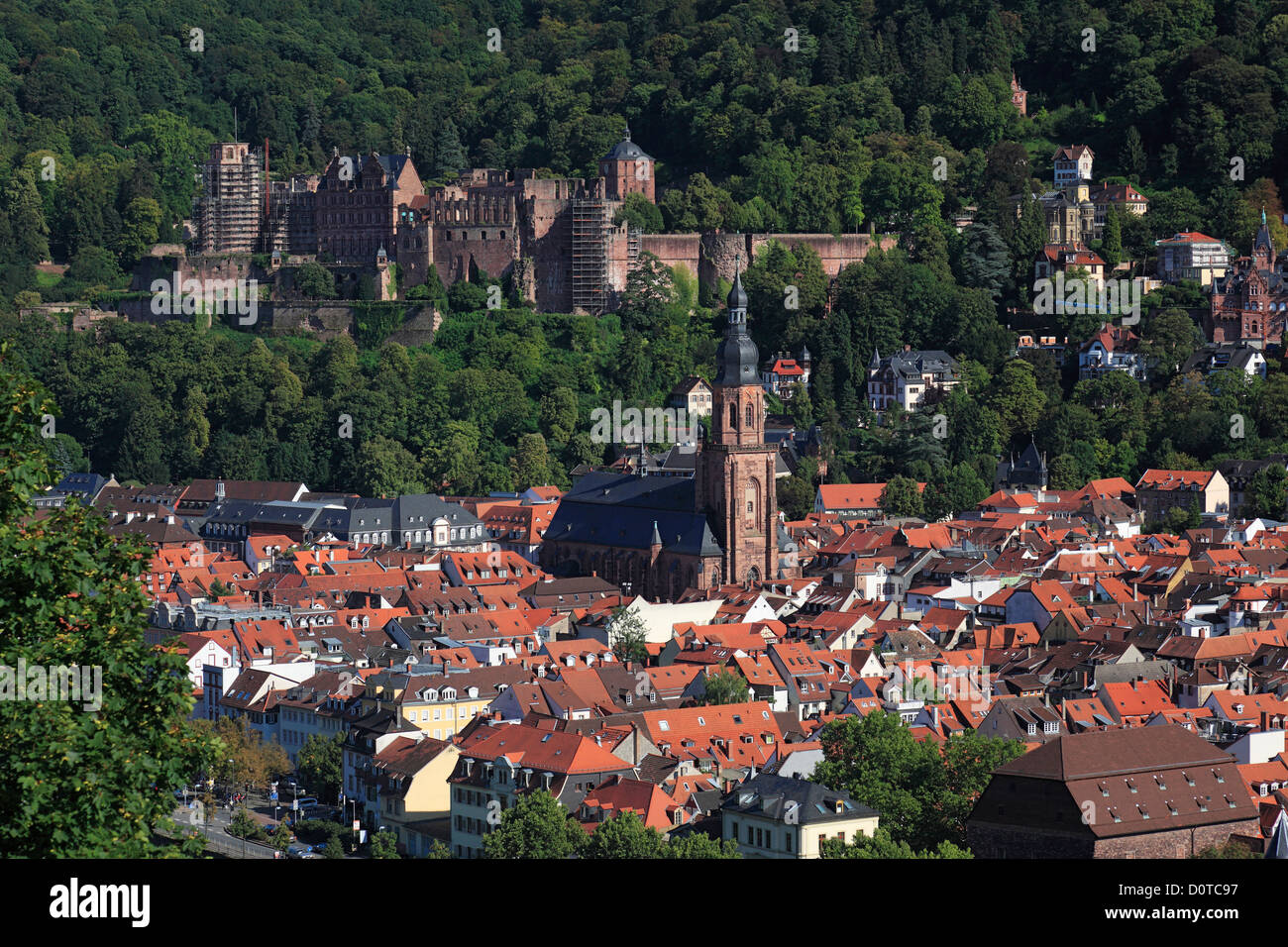 Germany, Heidelberg, Neckar, Rhine Neckar area, nature reserve,  Neckartal-Odenwald, Forest of Odes, mountain road, Odenwald, For Stock  Photo - Alamy