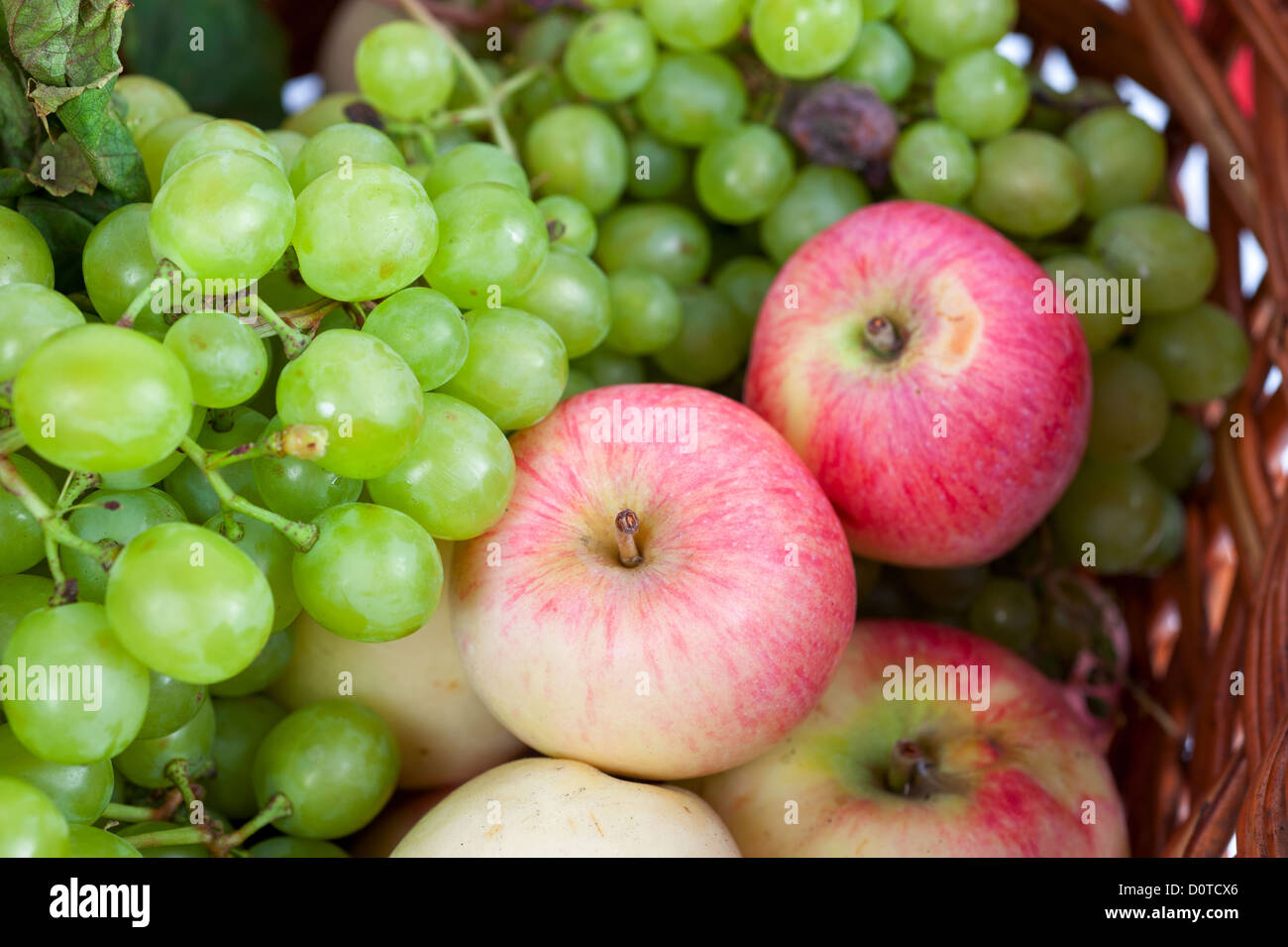 apples and grapes Stock Photo Alamy