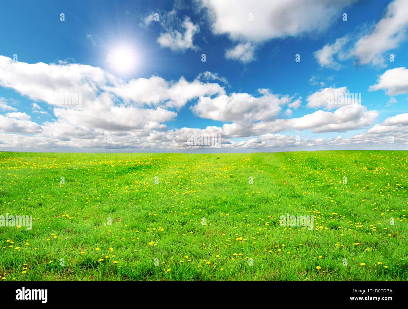 Green field under blue cloudy sky whit sun Stock Photo - Alamy