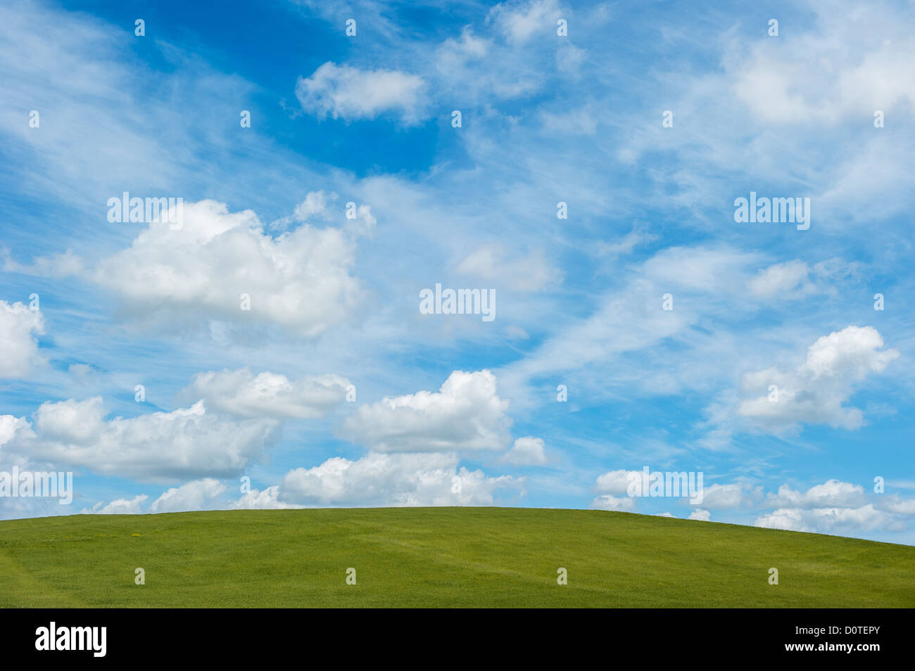 green field and blue cloudy sky background Stock Photo - Alamy