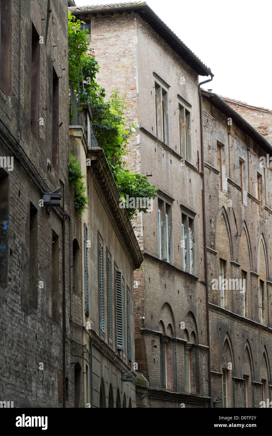 Exterior Facade in the old Town of Siena, Italy Stock Photo Alamy