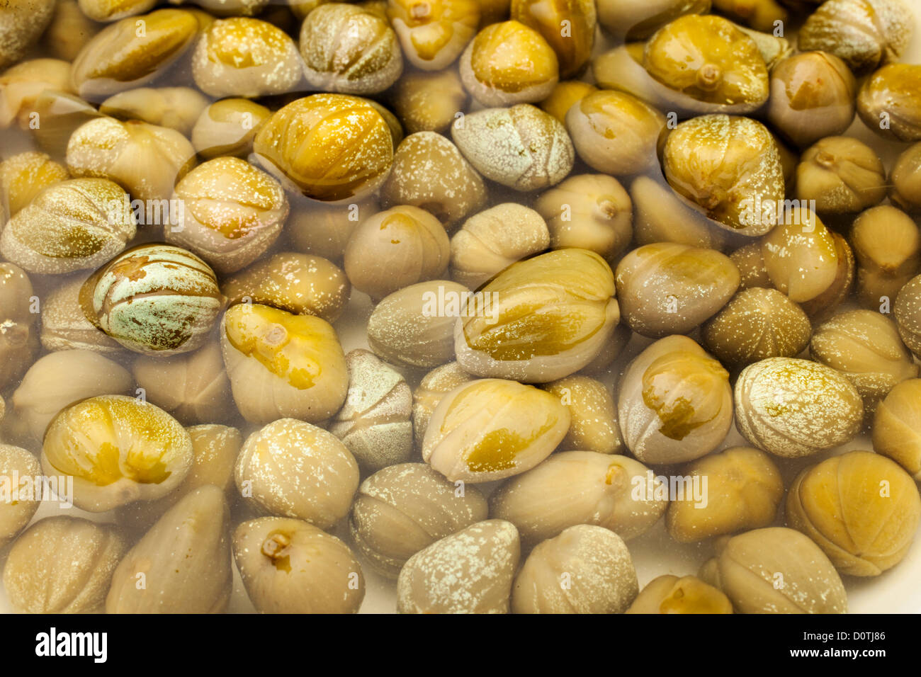 Pickled capers Stock Photo