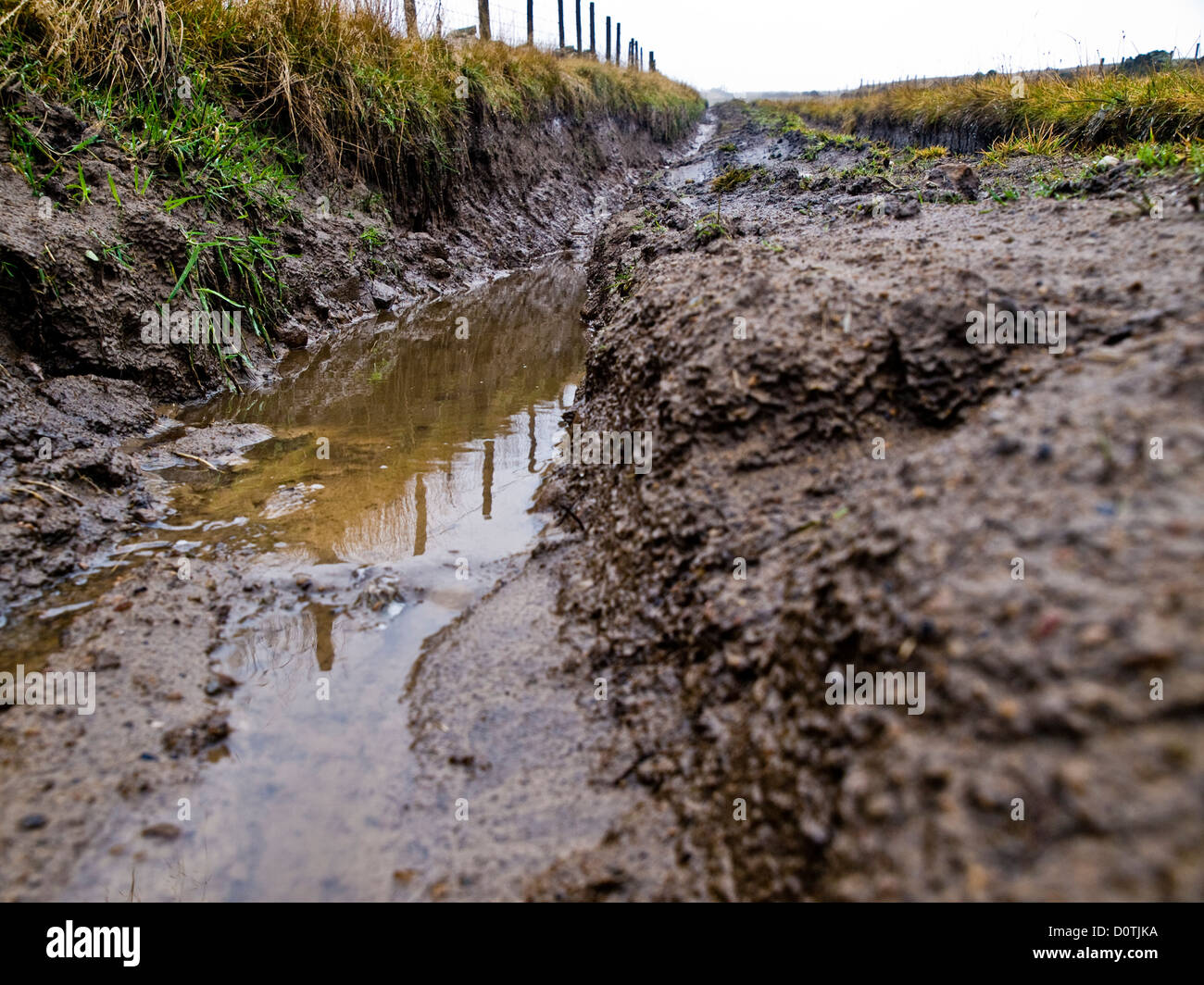 Deep ruts , Damage caused by 'off roading' in the Peak District Stock Photo