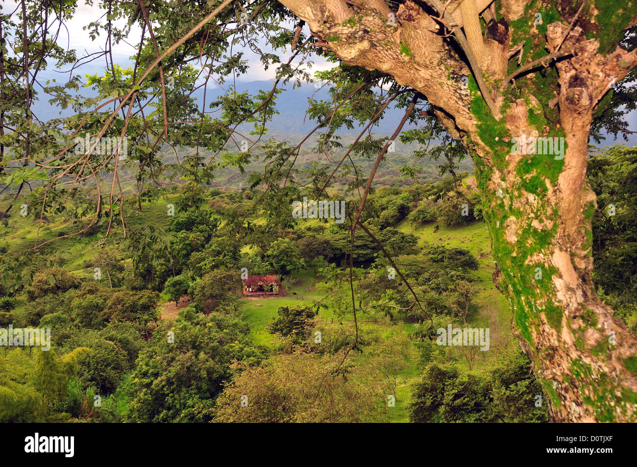 House, country, rural  andes, mountains, green, lush, sodden, Landscape, Popayan, Colombia, South America Stock Photo
