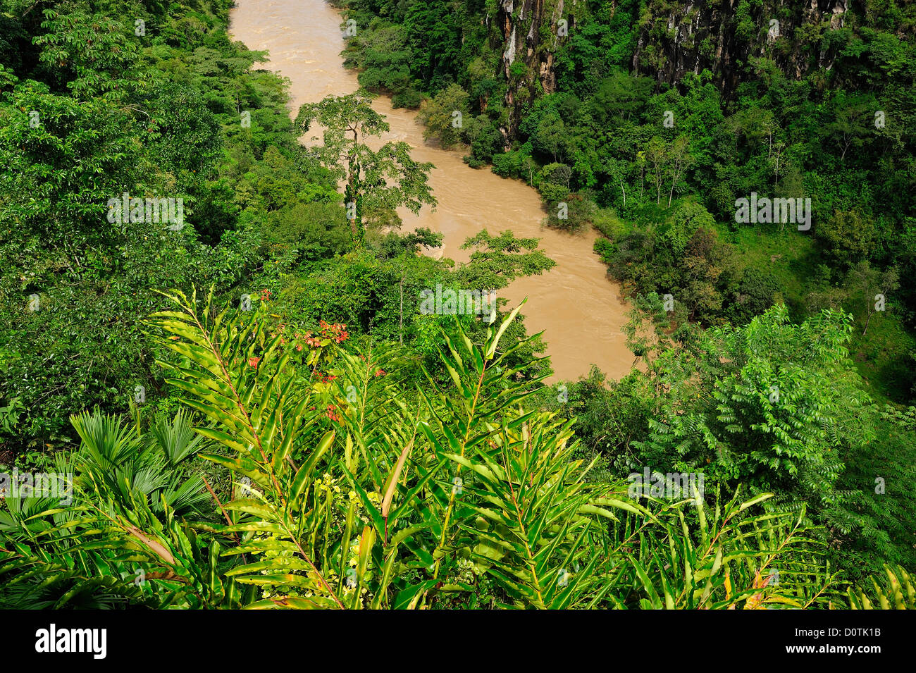 Canyon, green, lush, River, flooding, tropical, Rio Cauca, landscape, Medellin, Colombia, South America, river Stock Photo