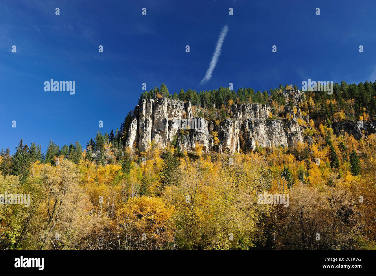 Indian summer, Fall, colors, foliage, autumn, Spearfish Canyon, National Forest, Black Hills, South Dakota, USA, United States, Stock Photo