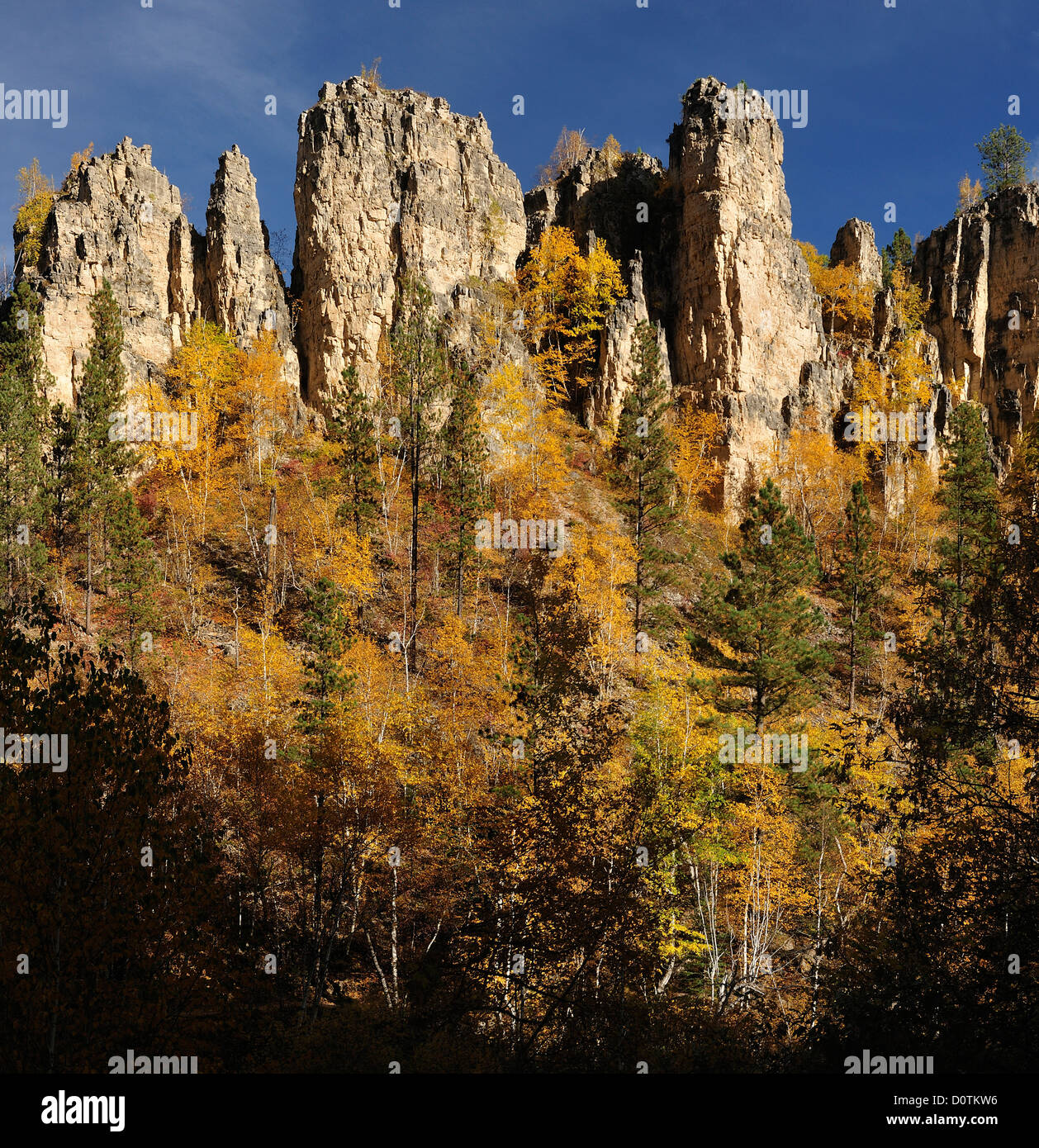 Indian summer, Fall, colors, foliage, autumn, Spearfish Canyon, National Forest, Black Hills, South Dakota, USA, United States, Stock Photo